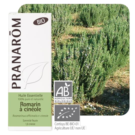 Pranarom hect bio romarin a cineole 10ml — Pharmacie des Rives du Cher
