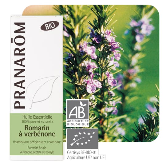 PRANAROM HE BIO ROMARIN VERBEN 5ML — Pharmacie du Bien Etre