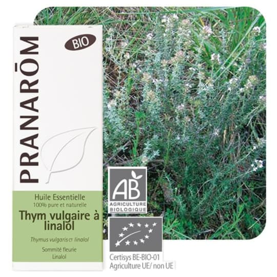 PRANAROM HE BIO THYM VULG LINA 5ML — Pharmacie du Vieux Montreuil