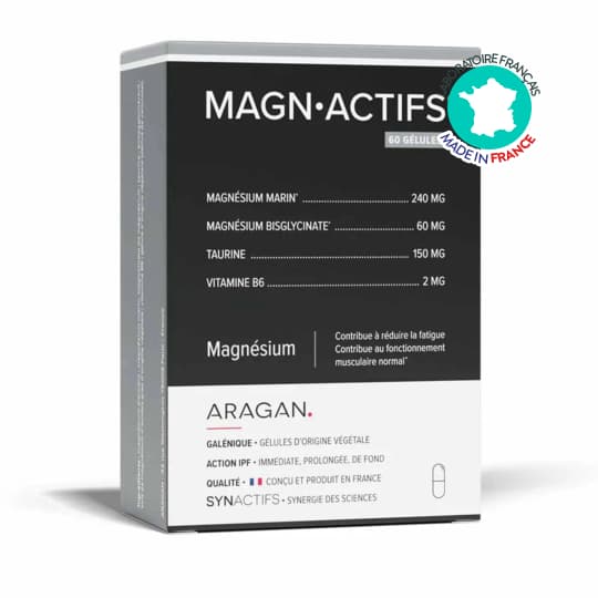 SYNACTIFS MAGNACTIFS GELUL 60 — Pharmacie Bourg Achard