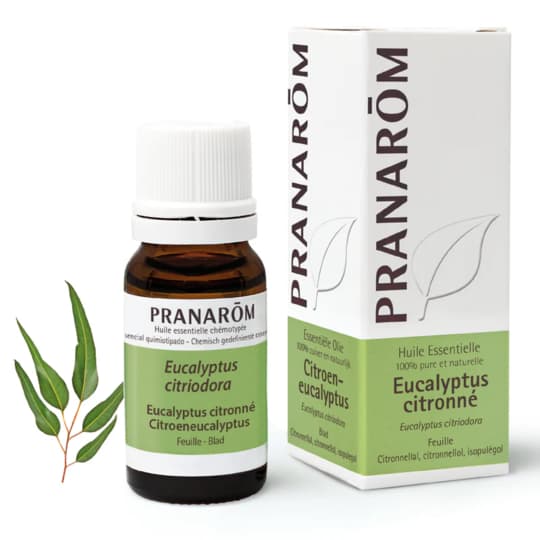Pranarôm huile essentielle eucalyptus citronné - 10 ml — Pharmacie du Maillon