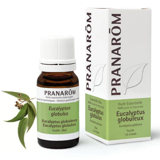 Pranarom hect eucalyptus globuleux feuille, 10 ml d'huile essentielle — Pharmacie Marie Stuart