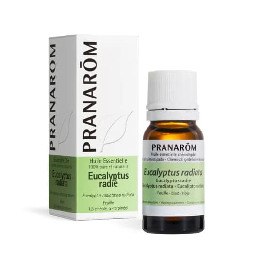 Pranarôm huile essentielle eucalyptus radié - 10 ml — Pharmacie Pessac Arago