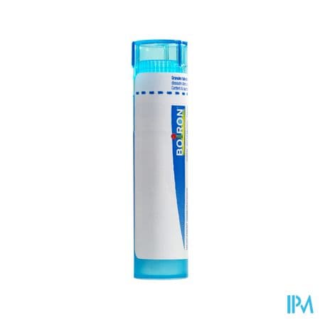 Boiron Magnesia Phos. 9ch Granules 4g