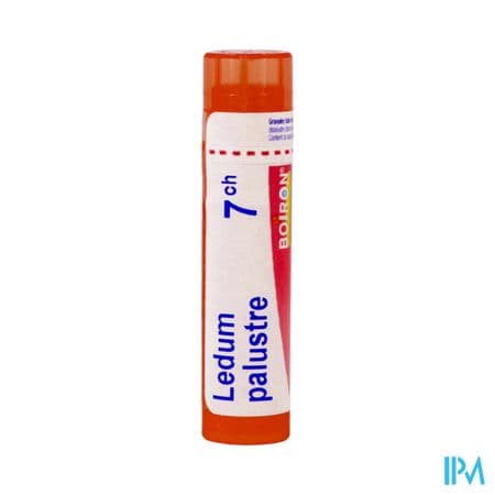 LEDUM PALUSTRE 7CH TG B