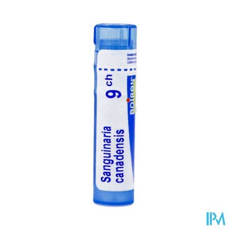 SANGUINARIA CAN. 9CH TG B — Pharmacie Val de l'Aurence Limoge