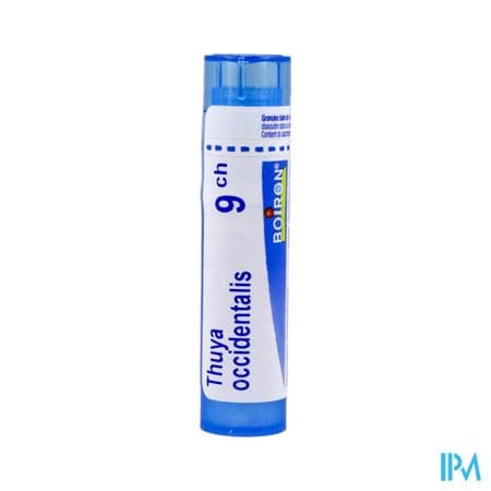 THUYA OCCIDENT. 9CH TG B