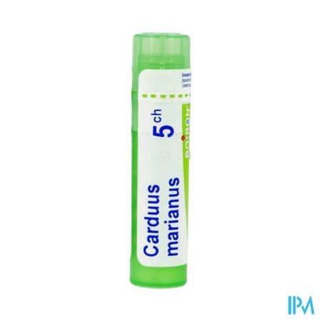 CARDUUS MARIANUS 5CH TG B — Pharmacie Palm Beach