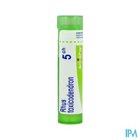 RHUS TOX. 5CH TG B — Grande Pharmacie Libourne
