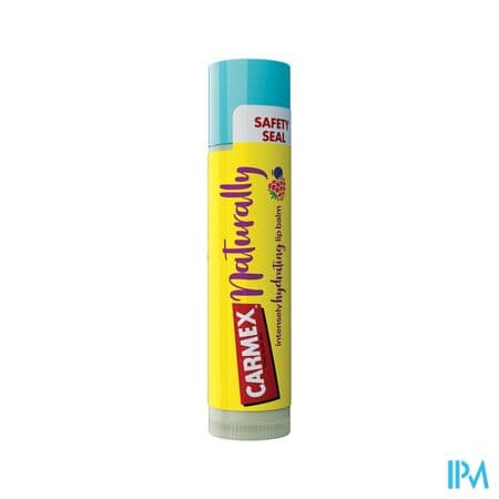 CARMEX SOIN LEV BERRY 4G