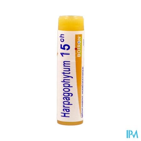 HARPAGOPHYTUM 15CH DO GL B