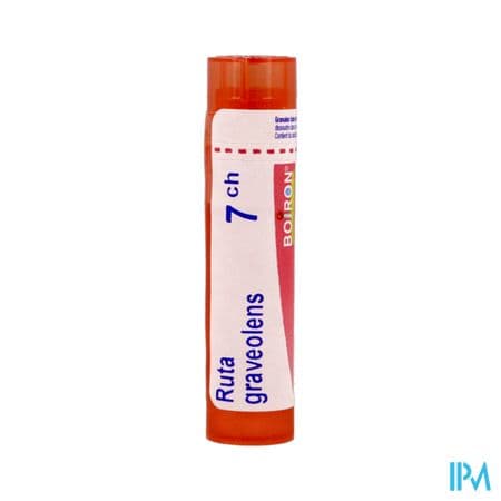 RUTA GRAVEOLENS 7CH TG B — Pharmacie du Vieux Lille