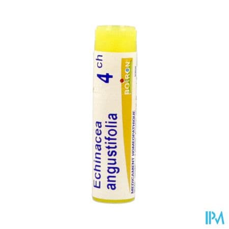 Boiron Echinacea Ang. 4ch Globules 1g — Pharmacie du Vercors