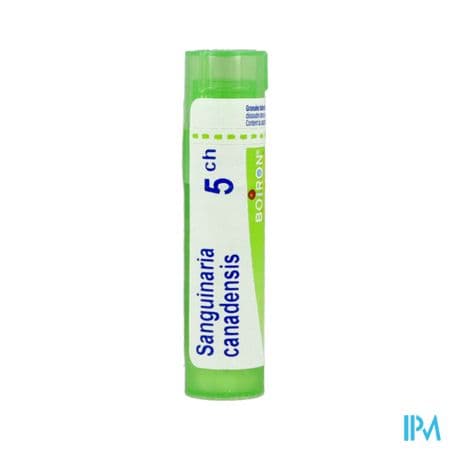 SANGUINARIA CAN. 5CH TG B — Pharmacie Rive Droite - Versailles