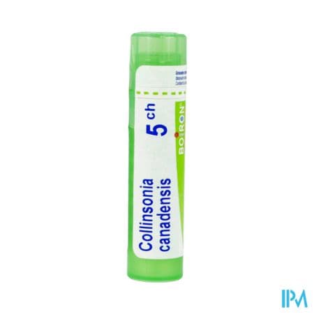 COLLINSONIA CAN. 5CH TG B — Pharmacie Pharmavance Sacre Coeur