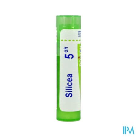 Boiron Silicea 5ch Granules 4g — Pharmacie Precheurs