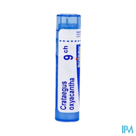 CRATAEGUS OXYAC. 9CH TG B