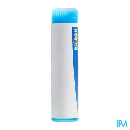 ARNICA MONTANA 9CH DO GL B