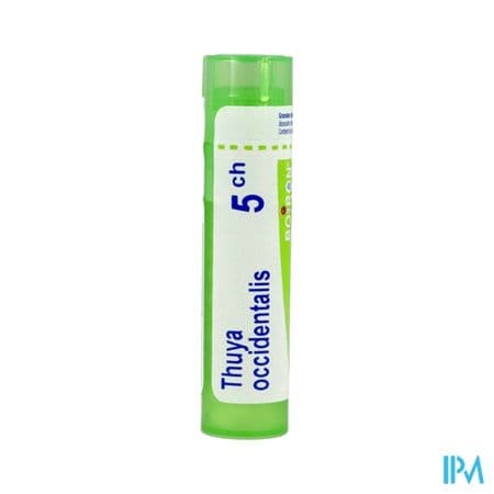 THUYA OCCIDENT. 5CH TG B — Pharmacie du Parc