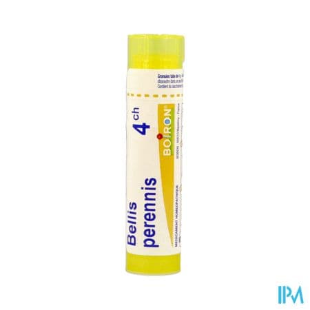 BELLIS PERENNIS 4CH TG B — Grande Pharmacie Libourne