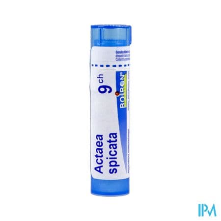 ACTAEA SPICATA 9CH TG B — Pharmacie du Grand Vitrolles