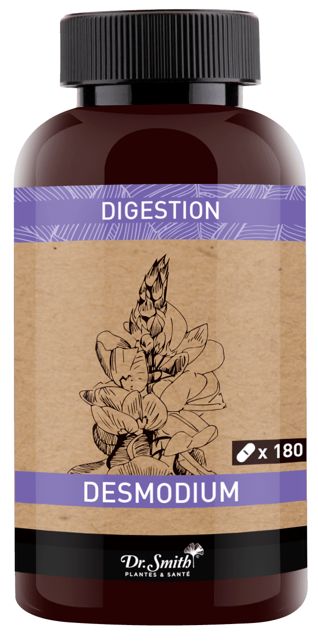 DR SMITH DESMODIUM GELUL 180 — Pharmacie de Bois Lemaitre - Marseille